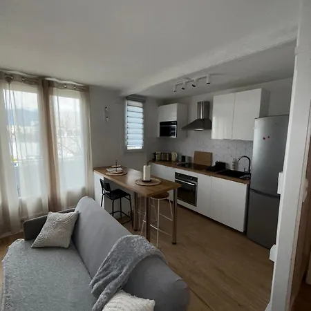 Superbe Duplex Avec Parking Gratuit גרנובל
