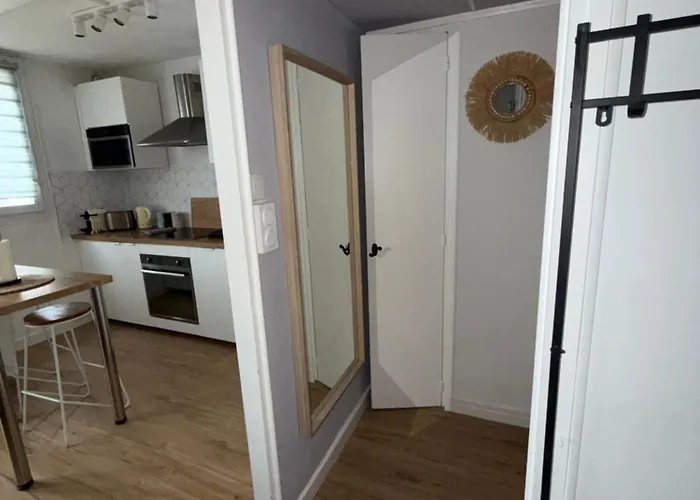 公寓 Superbe Duplex Avec Parking Gratuit 格勒诺布尔
